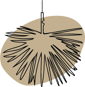 FIBRA MADRE