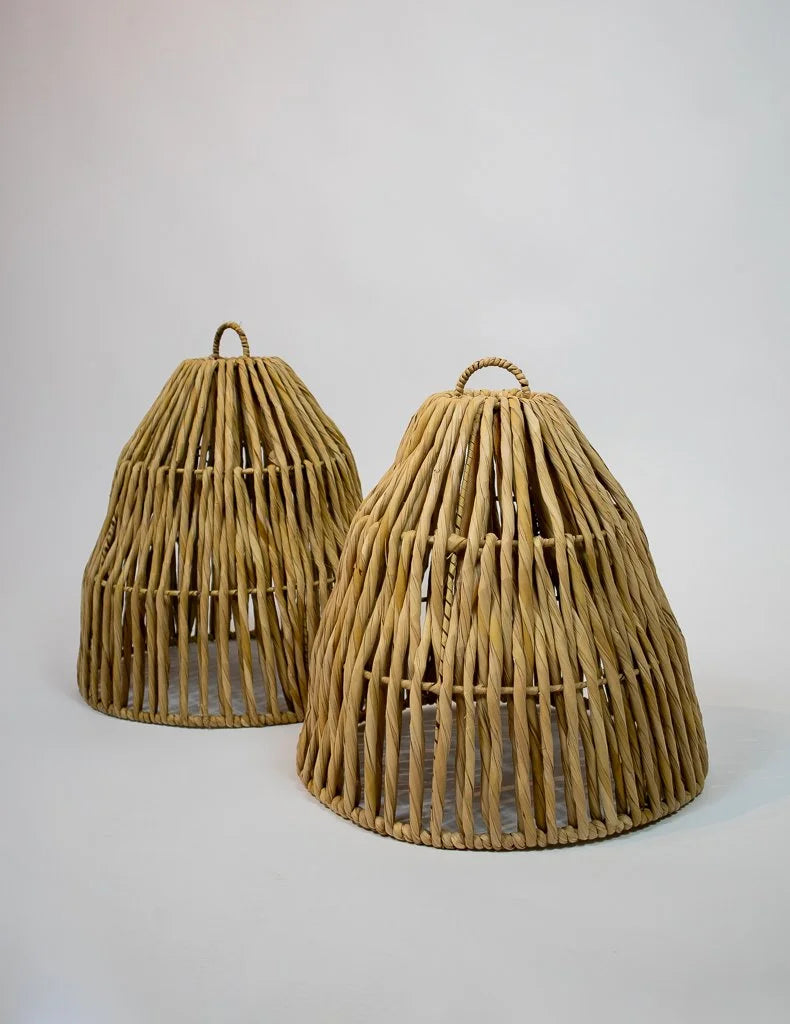 CAMPANA