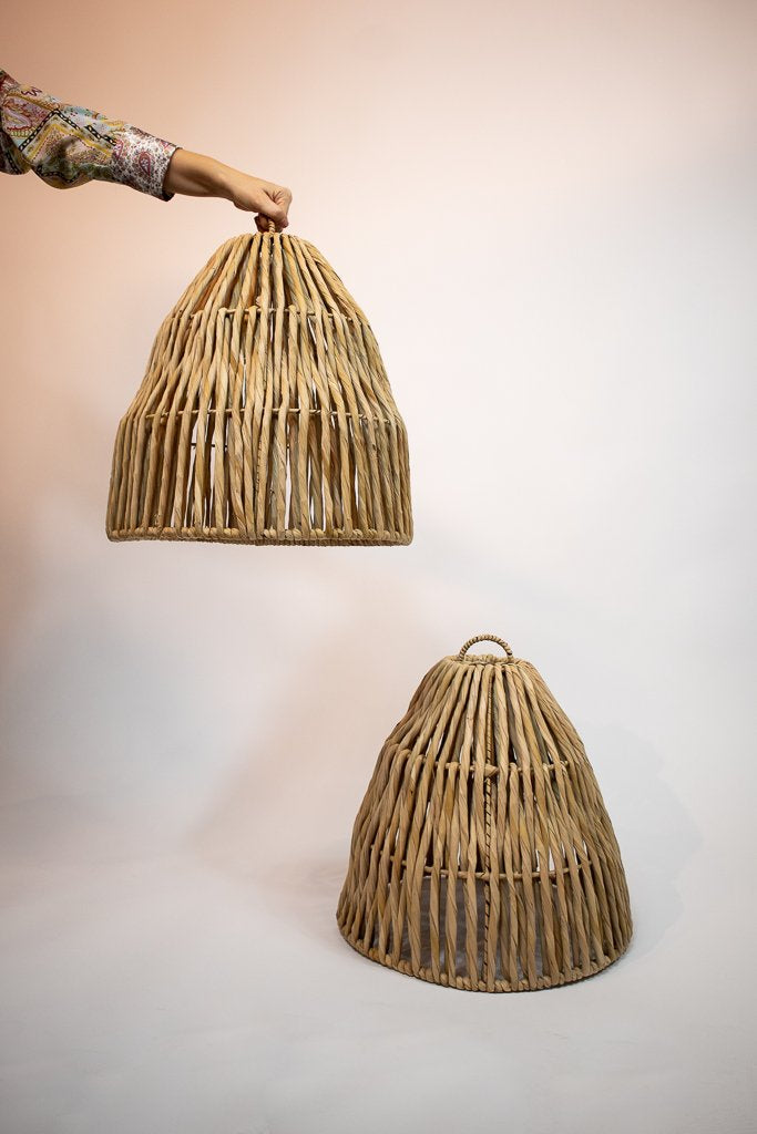 CAMPANA